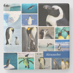 Snygg Penguin Photo Collage med First Namn Stenunderlägg