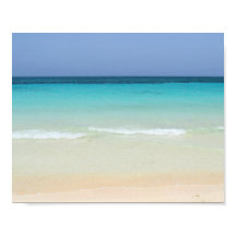 Snygg persikofoto 197