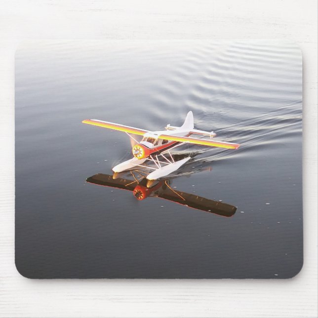Snygg RC Beaver på Musmattan Vatten/Pad Musmatta (Framsidan)