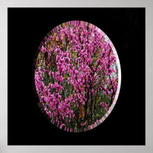 Snygg Red Bud träd..... Poster
