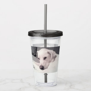 Snygg Regal White Labrador Mix Hund Grått Acryli Take Away Mugg
