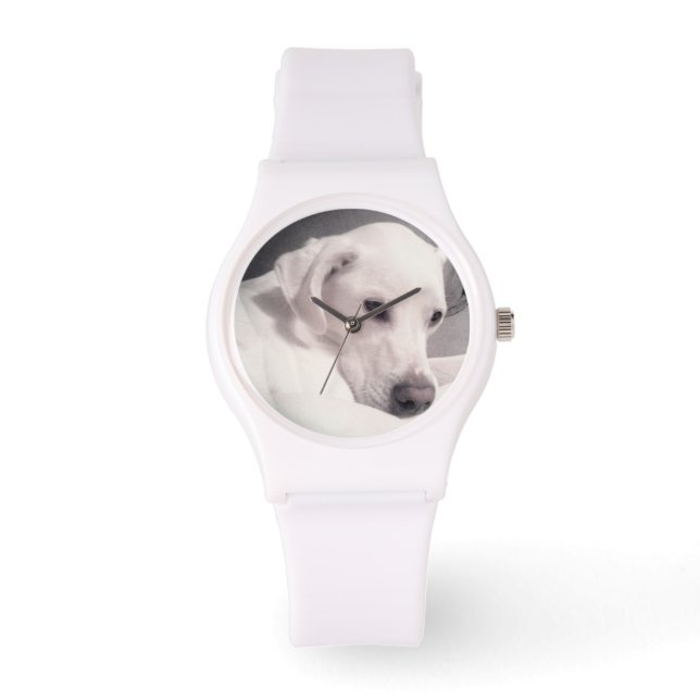 Snygg Regal White Labrador Mix Hund Watch Armbandsur (Framsida)