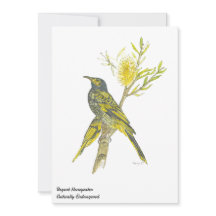 Snygg Regent Honeyeater Bird