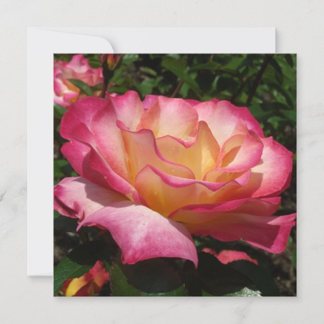 Snygg Ro Inbjudningar (Framsida)