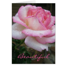 Snygg Ro-recensioner 3:11-skriptkort