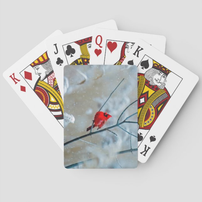 Snygg röd kardinal i Snö Casinokort (Baksidan)