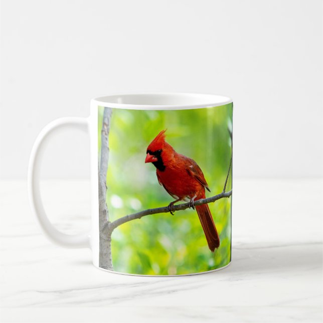 Snygg, röd kardinal på Gren Kaffemugg (Vänster)