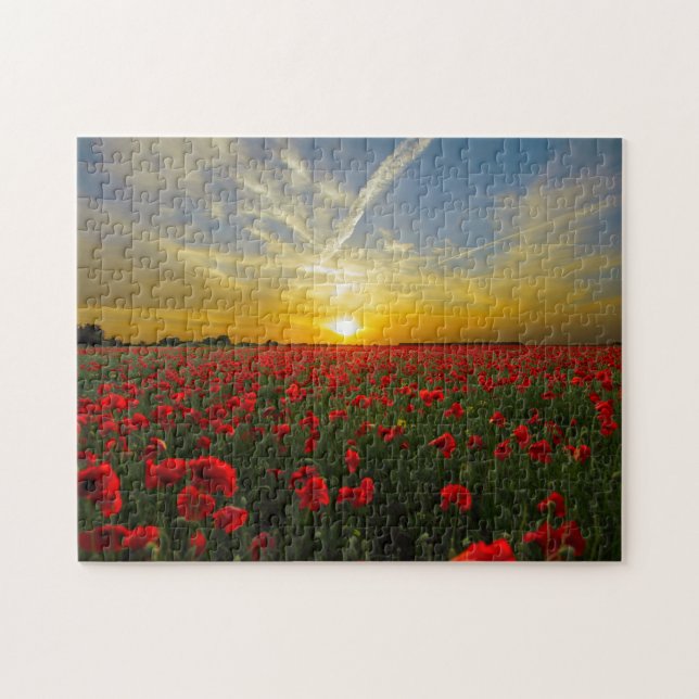 Snygg röd poppy Fält Sunset Photography Pussel (Horisontell)