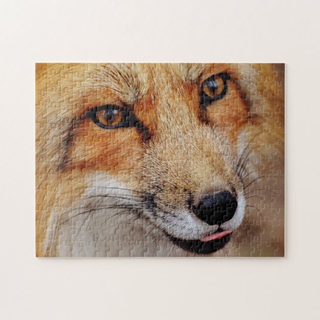 Snygg röd räv nära, Jigszawa Puzzle Pussel (Horisontell)