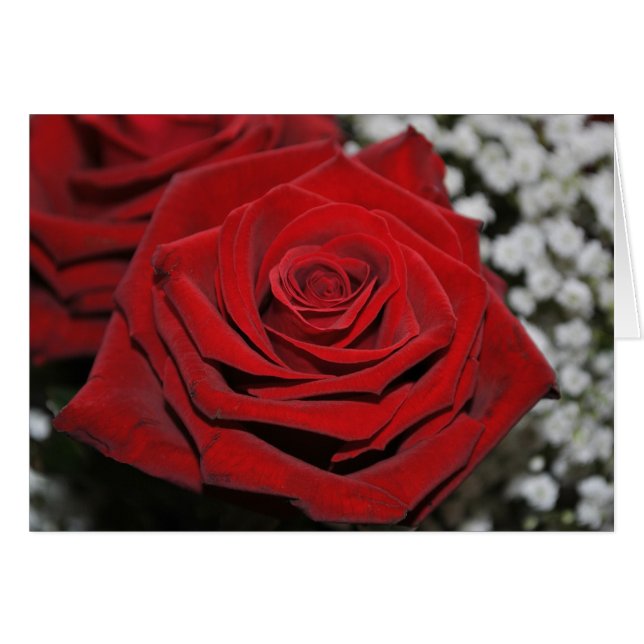 Snygg Röd ros Hälsningskort (Framsidan Horizontal)