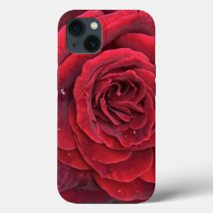 Snygg röd ros iphone 13 tuff fodral
