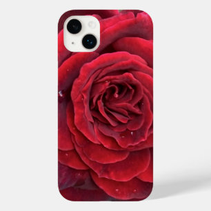 Snygg röd ros iphone 14 Plus knappt där