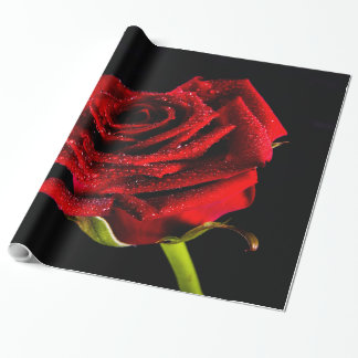 Snygg röd ros presentpapper