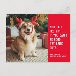 Snygg, rolig hund - julfoto helg vykort