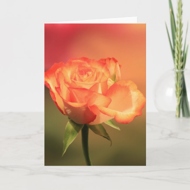 Snygg Romantic Ro-foto Kort (Framsida)