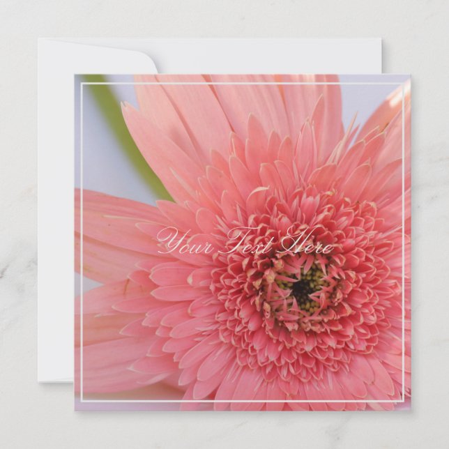 Snygg Rosa Chrysanthemum Ditt textplatta kort (Framsida)