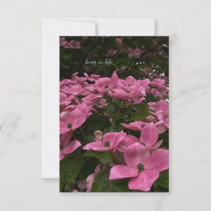Snygg Rosa Dogwood Flowers Anteckningskort
