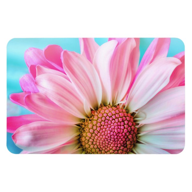Snygg Rosa Flower Close Photo Magnet (Horisontell)