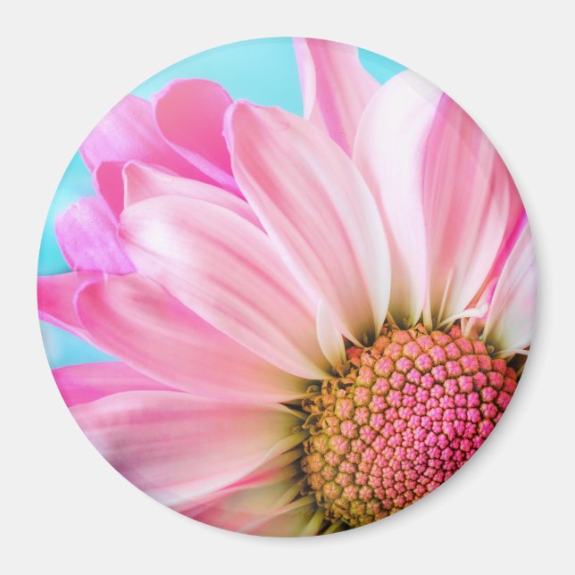 Snygg Rosa Flower Close Photo Magnet (Framsidan)