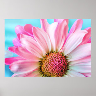 Snygg Rosa Flower Close Photo Poster