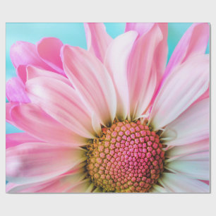 Snygg Rosa Flower Close Photo Presentpapper