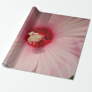 Snygg Rosa Flower Close Up PhotoWrapping Papper Presentpapper