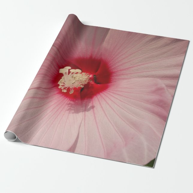 Snygg Rosa Flower Close Up PhotoWrapping Papper Presentpapper (Utrullad)