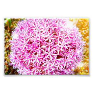 Snygg Rosa Flower Fototryck