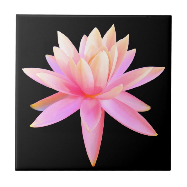 Snygg Rosa Lily Lotus Fine Art Kakelplatta (Framsidan)