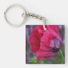 Snygg Rosa och Lila Poppy Flower