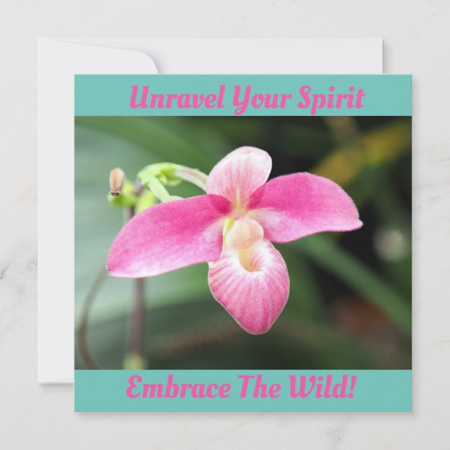 Snygg Rosa Orchid (Framsida)