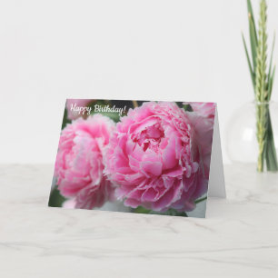 Snygg Rosa Peony-födelsedagskort Kort