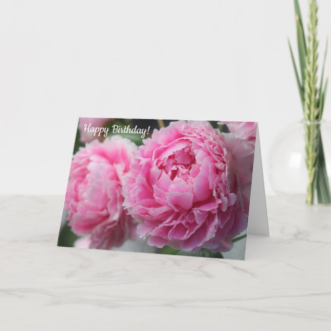 Snygg Rosa Peony-födelsedagskort Kort (Framsida)