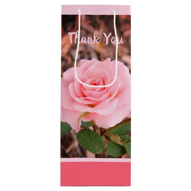 Snygg Rosa ros (Framsidan)