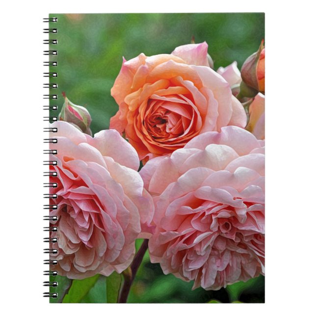 Snygg rosa ros anteckningsbok (Framsidan)