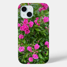 Snygg Rosa ros i Bloom iphone case