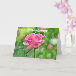Snygg Rosa ros i ett Garden Art Birthday-kort Kort