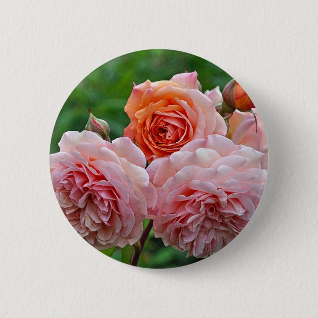 Snygg rosa ros knapp (Framsida)