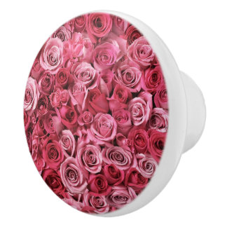 Snygg Rosa ros Knopp