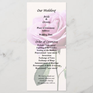 Snygg Rosa ros med Löv Program