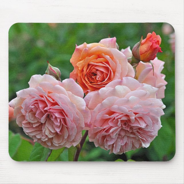 Snygg rosa ros musmatta (Framsidan)