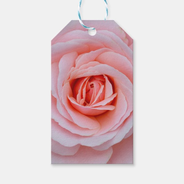 Snygg rosa ros presentetikett (Framsidan)