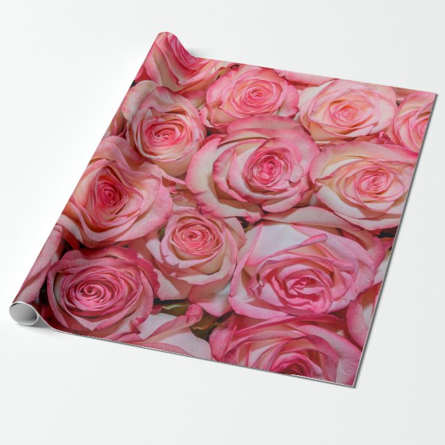 Snygg rosa ros presentpapper (Utrullad)