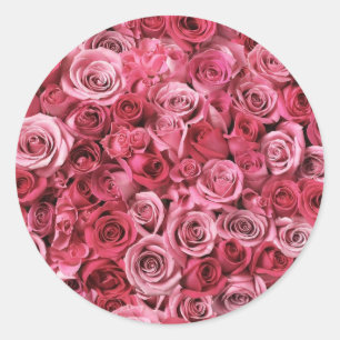 Snygg Rosa ros Runt Klistermärke