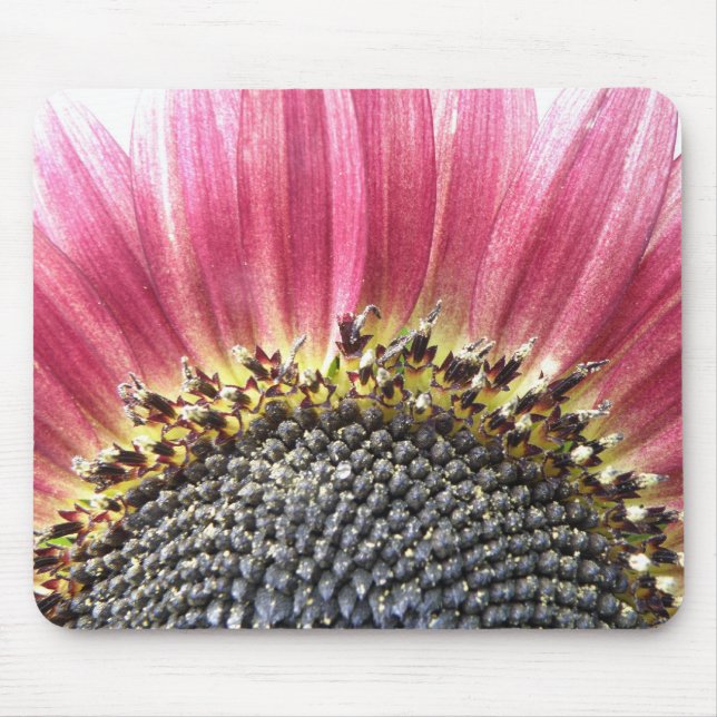 Snygg Rosa Solros Mousepad Musmatta (Framsidan)