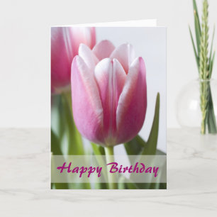 Snygg Rosa Tulip, Grattis på födelsedagen Kort