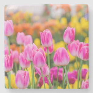 Snygg Rosa Tulips Stenunderlägg