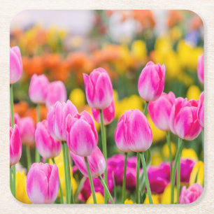 Snygg Rosa Tulips Underlägg Papper Kvadrat