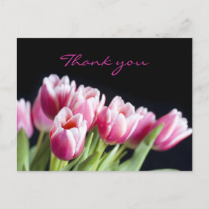 Snygg Rosa Tulips Vykort