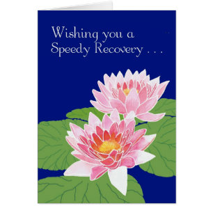 Snygg Rosa Vatten Lilies på Blue Get well Hälsningskort